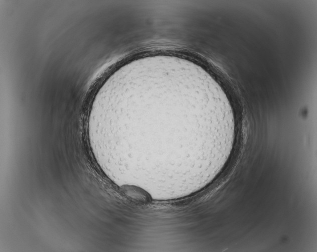 X0000115251309200912111108