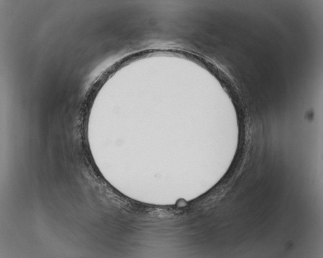 X0000115251311200912111108