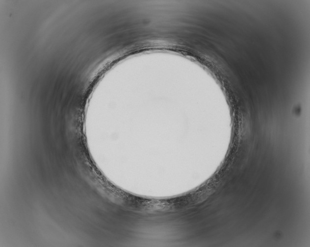 X0000115251314200912111108