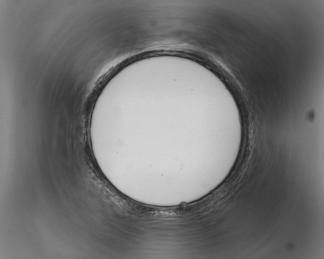 X0000115251315200912111108