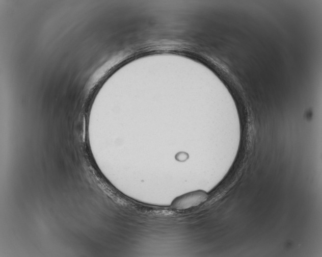 X0000115251317200912111108