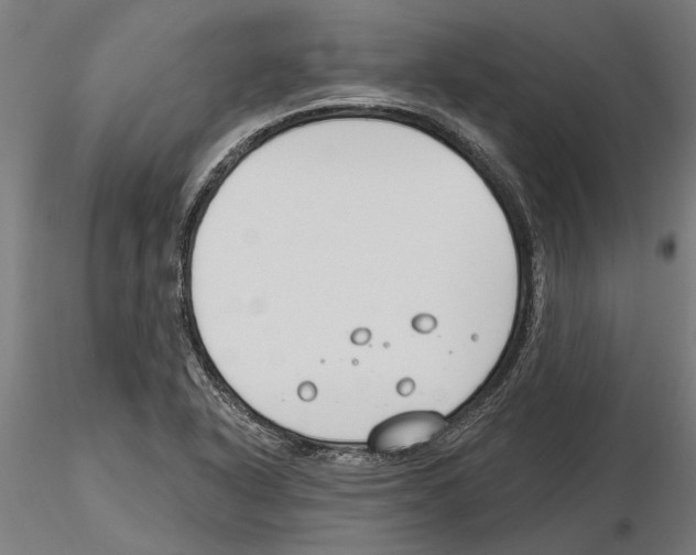 X0000115251318200912111108