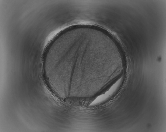 X0000115251319200912111108