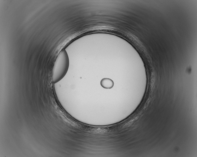 X0000115251321200912111108