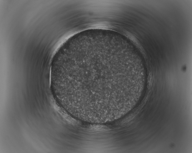 X0000115251323200912111108