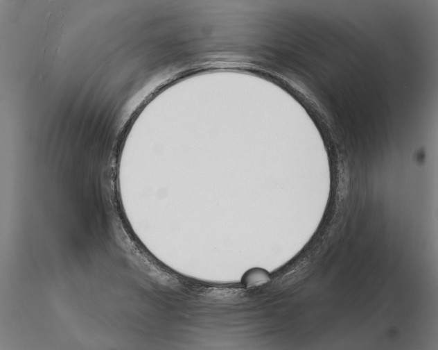 X0000115251325200912111108