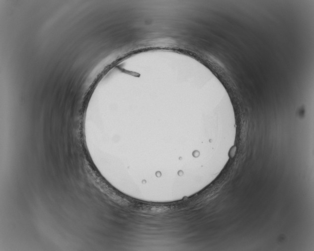 X0000115251326200912111108