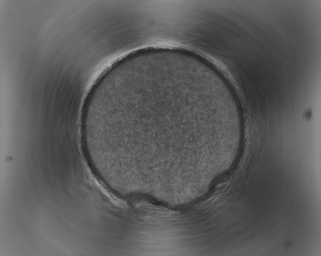 X0000115251327200912111108