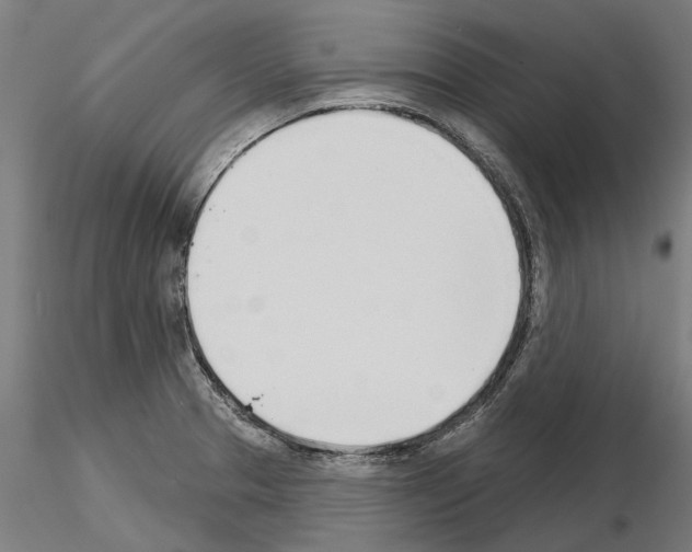 X0000115251329200912111108