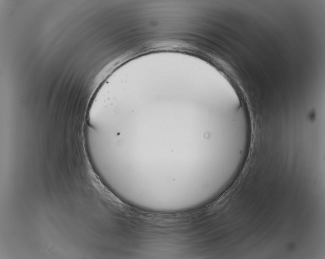 X0000115251330200912111108