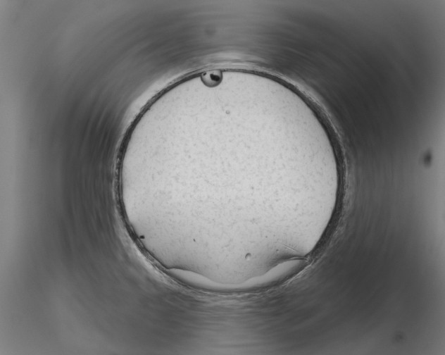 X0000115251333200912111108