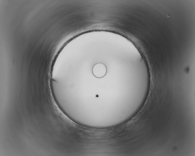 X0000115251334200912111108