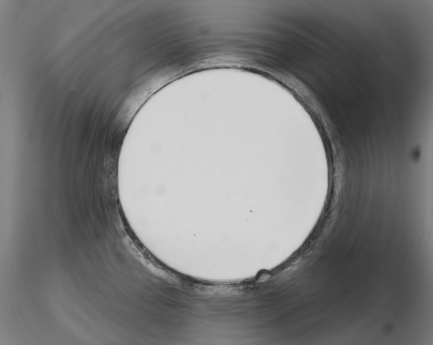 X0000115251337200912111108