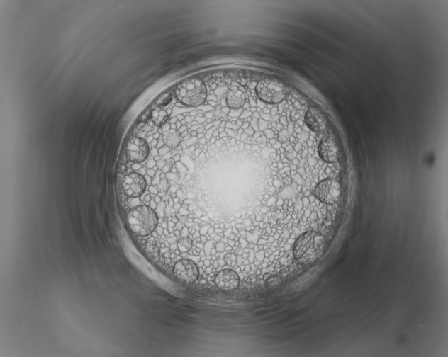 X0000115251338200912111108