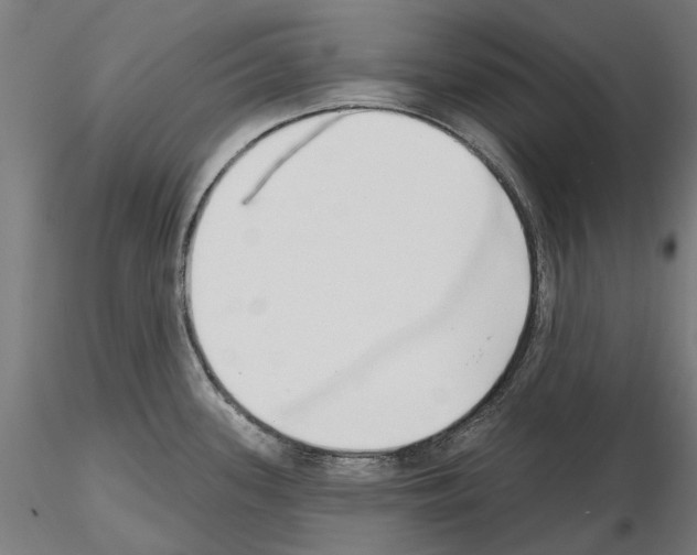 X0000115251339200912111108