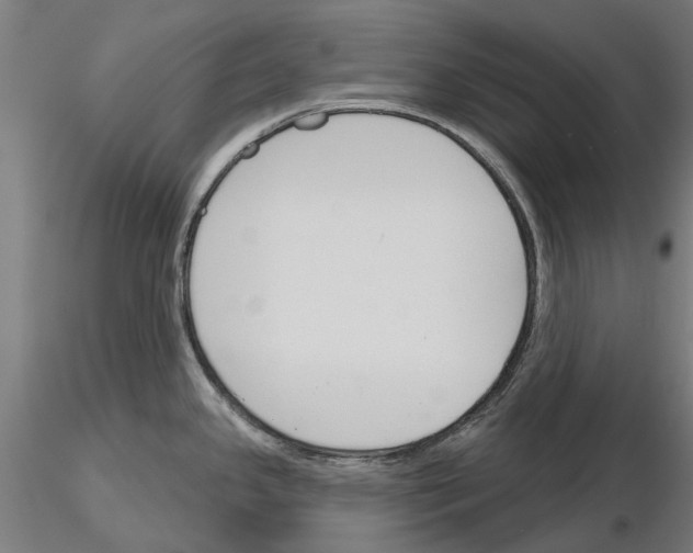 X0000115251341200912111108