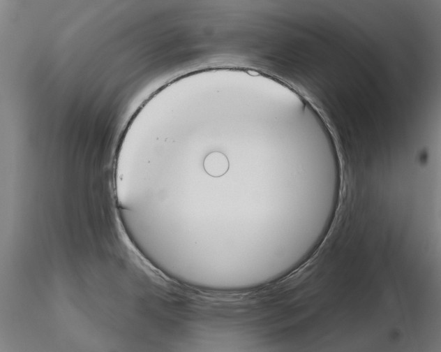 X0000115251342200912111108