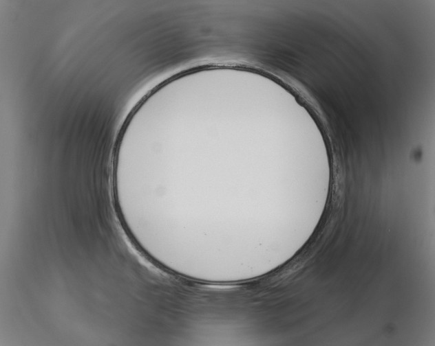 X0000115251343200912111108