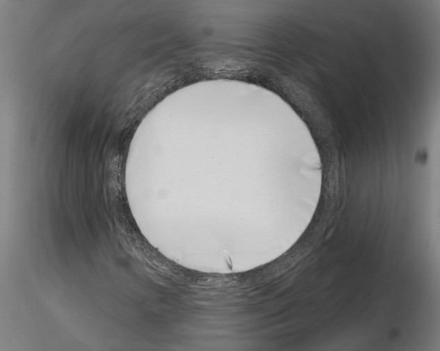 X0000115251346200912111108