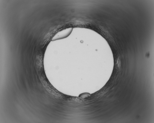 X0000115251348200912111108