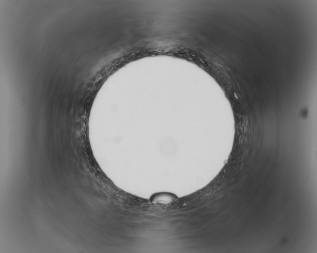 X0000115251349200912111108