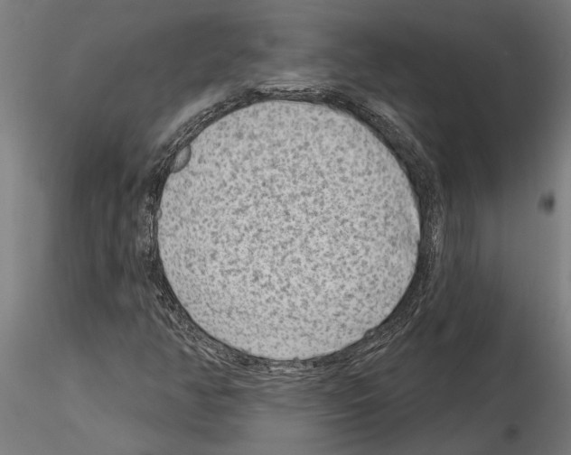 X0000115251350200912111107