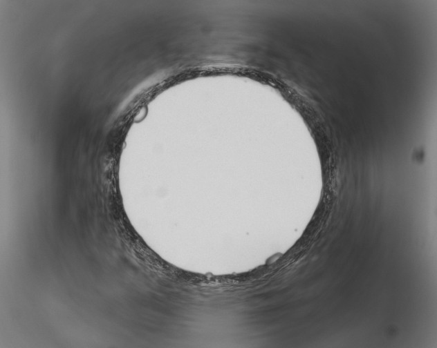 X0000115251351200912111107