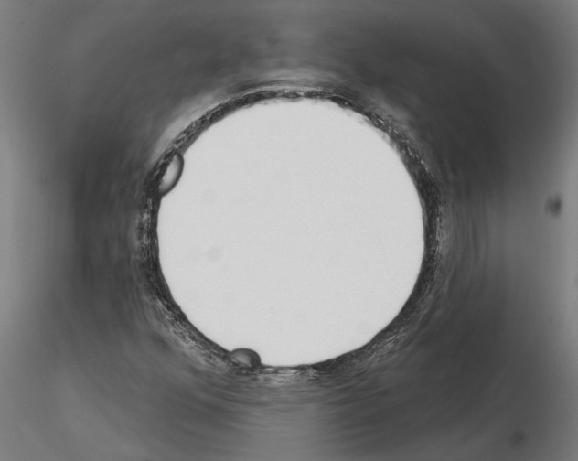 X0000115251352200912111107