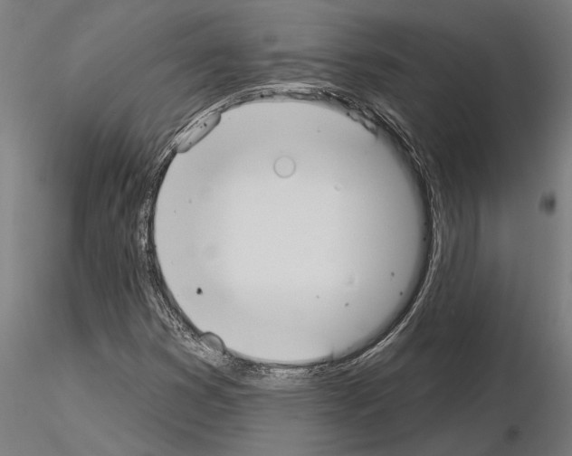 X0000115251353200912111107