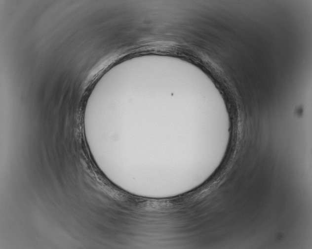 X0000115251354200912111107