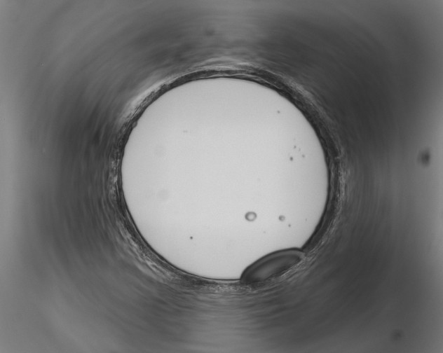 X0000115251355200912111107