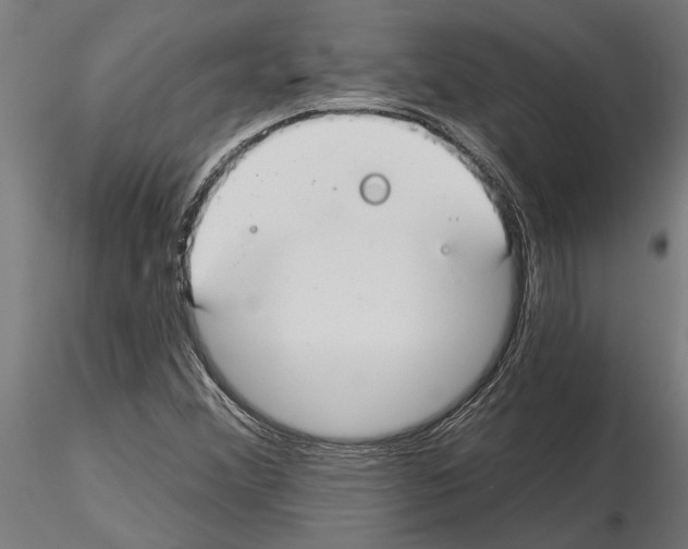 X0000115251356200912111107