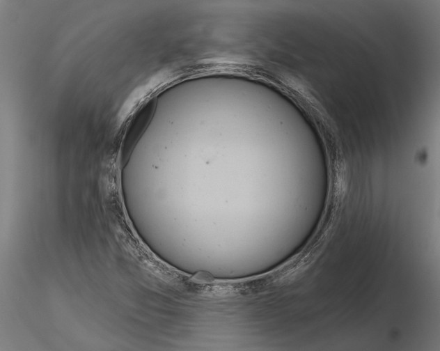 X0000115251357200912111107