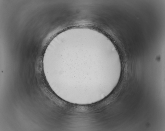 X0000115251358200912111107