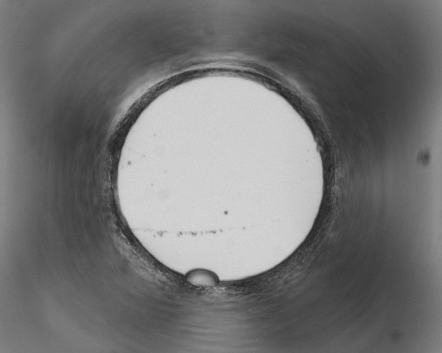 X0000115251360200912111107