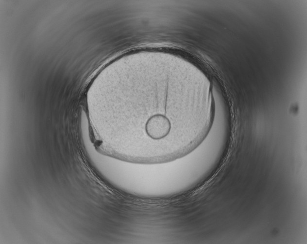 X0000115251361200912111107