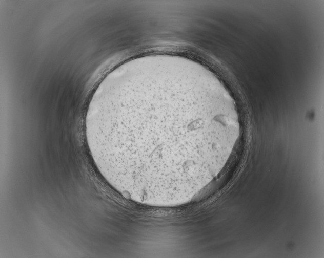 X0000115251362200912111107