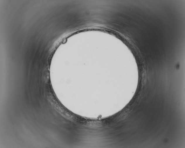 X0000115251363200912111107