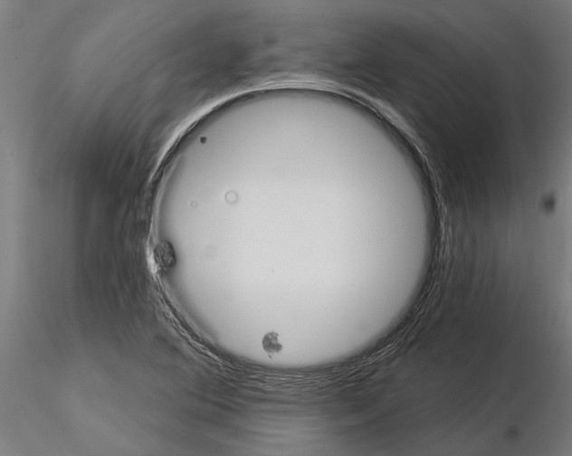 X0000115251364200912111107