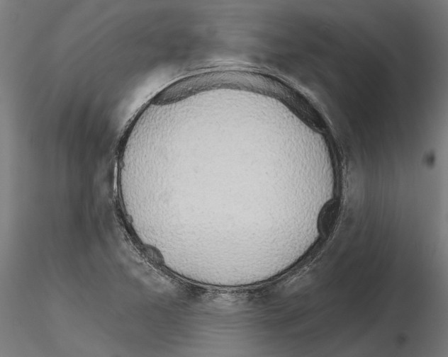 X0000115251365200912111107