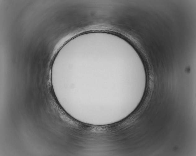 X0000115251366200912111107