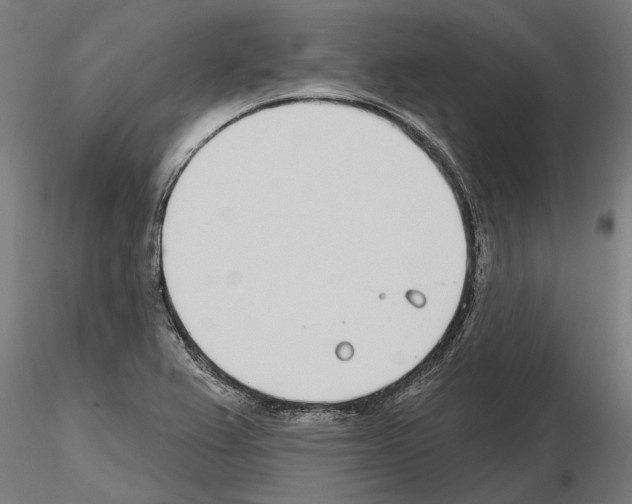 X0000115251367200912111107