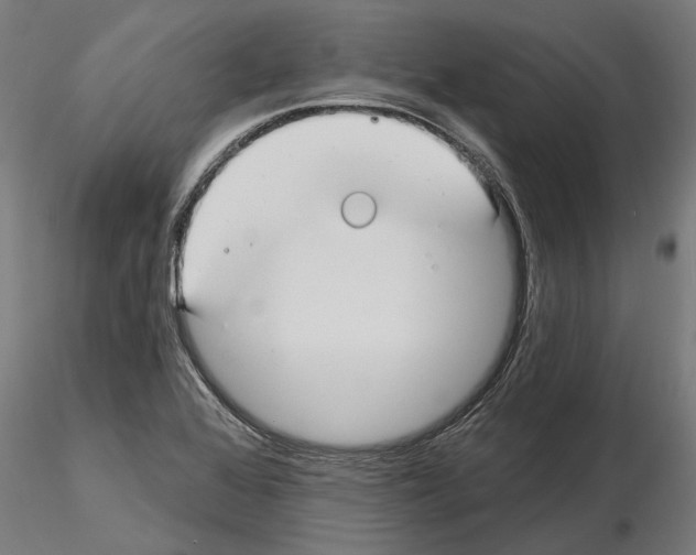 X0000115251368200912111107