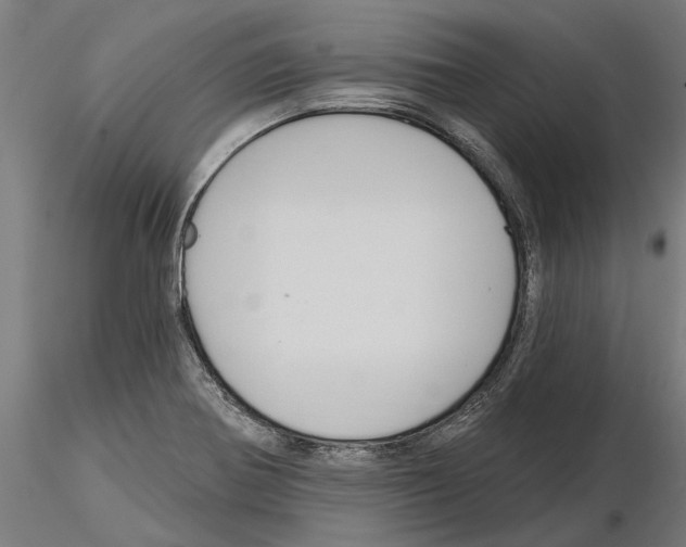 X0000115251370200912111107