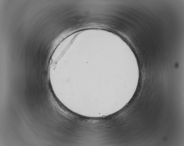 X0000115251371200912111107