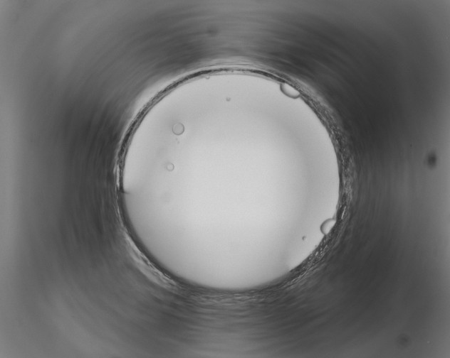 X0000115251372200912111107