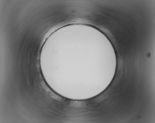 X0000115251374200912111107