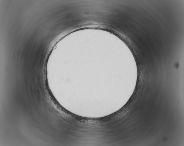 X0000115251375200912111107