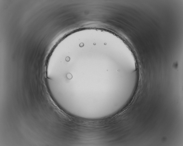 X0000115251376200912111107