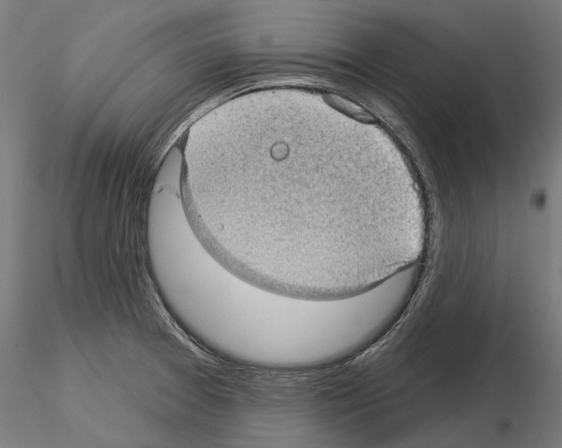 X0000115251377200912111107